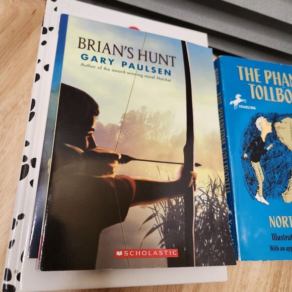 Kids Junior Book Lot of 6 | Classic Chapter Books Bundle - Picture 3 of 7